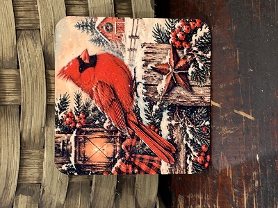 Cardinal & Lantern 4